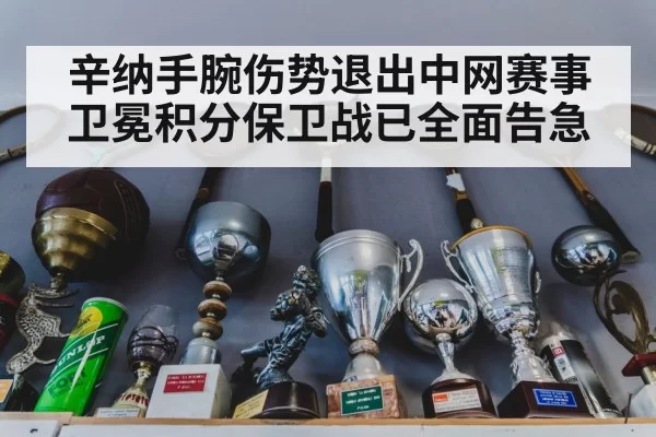 辛纳手腕伤势退出中网赛事卫冕积分保卫战已全面告急